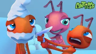 Joey is Even More Frosty Than Wendy! 🍦 | 🐛 Antiks 🐛 | Preschool Learning | Moonbug Tiny TV