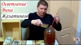 Осветление вина желатином