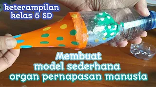 Keterampilan membuat model sederhana ORGAN PERNAPASAN manusia || tugas kelas 5 SD