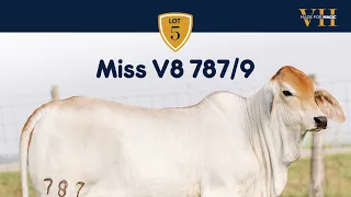 Miss V8 787/9 Brahman Heifer from Made for Magic VII Online Sale