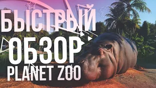 Обзор на игру Planet Zoo