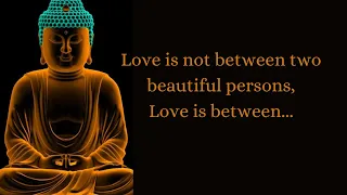 About Real Love By Buddha || Buddha Love Quotes || Buddha Quotes On Love || English Quotes On Love