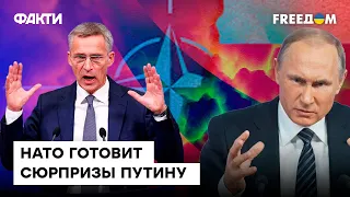 Ассамблея НАТО признала РФ страной-терроризма — ЧЕГО СТОИТ ОЖИДАТЬ