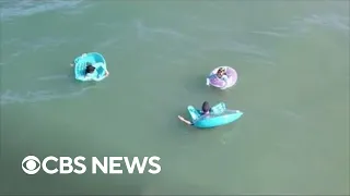 Large shark sneaks behind beachgoers in Florida
