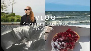 VLOG | Поездка в Калининградскую область - море, еда, наслаждение, новые места