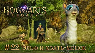 Hogwarts Legacy (Когтевран): часть 22 - Эльф и хвать-мешок (прохождение)