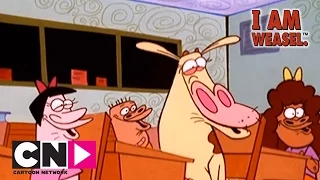 Back to School | I Am Weasel | Cartoon Network