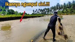 JALA IKAN DI SUNGAI KECIL, NEMU KAWANAN IKAN NGUMPUL.!!! amazing fishing video