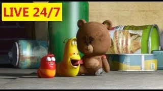 Larva Funny Cartoons - 24/7 LIVE Live Stream