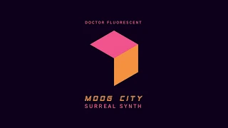 Moog City - Minecraft Synth Cover