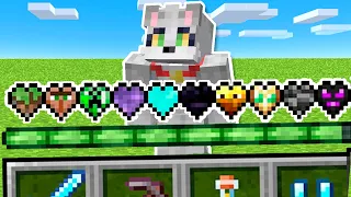 Paso Minecraft PERO con NUEVOS CORAZONES 💚😱