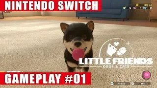 Little Friends: Dogs & Cats Nintendo Switch Gameplay #1 | Welcome Home