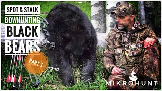 Spot & stalk bowhunting black bears Part 1