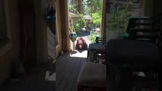 Woman orders bear to get off her porch - 995374