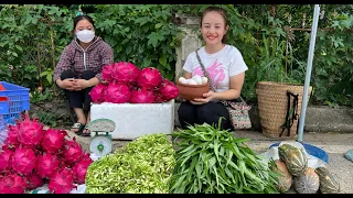 Harvest water spinach, duck eggs, squash to go to the market to sell. corn wine fermentation