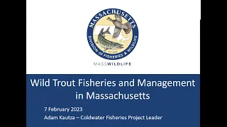 Wild Trout Fisheries and Management in Massachusetts