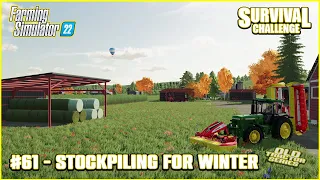 Stacking Bales For Winter, New Mower - Old Tractor Series - #61 - NoMansLand - FarmingSim22