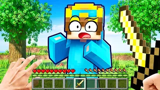 Minecraft But If I Take Damage It Gets More Realistic!