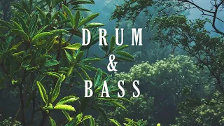 DRUM & BASS SESSION mixed by dj_némesys
