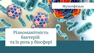 Різноманітність бактерій та їх роль в біосфері Землі