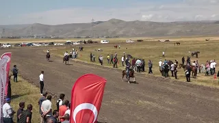 ARDAHAN DOĞU ANADOLU ŞANPİYONASI Rahvan at yarşları11