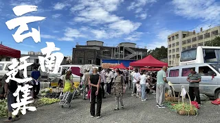 夏季趕春雨大集市，雲南果蔬豐富便宜，野生菌價格高 Catch the spring rain in summer