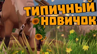 ТИПИЧНЫЙ НОВИЧОК В STAR STABLE