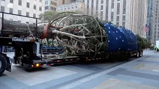 The Rockefeller Center Christmas Tree is Up