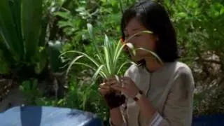 LOST: Jack and Kate flirting (1x06 House of the Rising Sun)