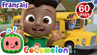 Les roues de l'autobus | CoComelon - L'Heure de Cody | Chansons pour bébés