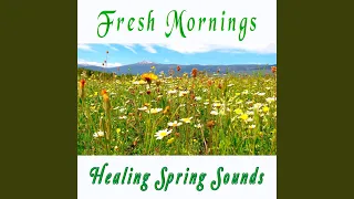 Good Morning Spring - Nature Therapy to Start Your Day with Positive Energy - Fresh Morning...