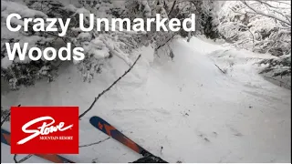 Skiing Insane Unmarked Woods at Stowe (Feb 4, 2024)