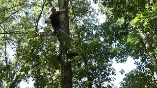 Saddle hunting mobility in the tree. DRT/SRT