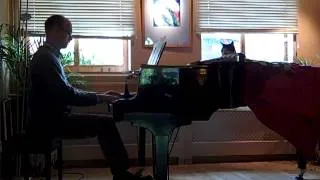 A swan, a cat and a pianist...