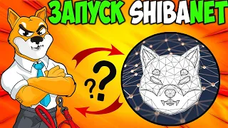 Создатель Shiba Inu Запускает Обновление ShibaNet - Последний Шанс SHIB До 1 Сентября