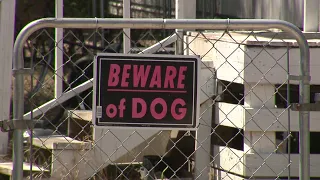 District 7 Councilwoman introduces measures to control dangerous dogs, owners