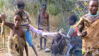 A Hadza Documentary (episode 1/4): The last true hunter gatherers-culture, bow making, and diet