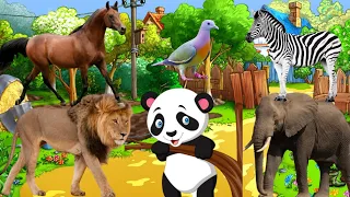 Animals Life In Jungles: lion,tiger, elephants, monkey, horse, panda, zebra, owl, all animals sounds