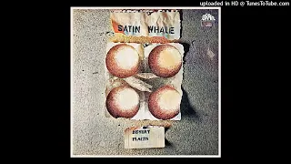 Satin Whale ► Remember [HQ Audio] Desert Places 1974