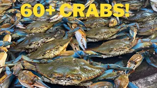 Catching GIANT Blue Crab (Over 60 crabs caught!)