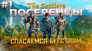 The Settlers: New Allies прохождение на Русском #1