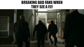 Breaking Bad Fans Slander