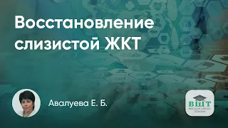 Новые способы восстановления эпителиальной защиты слизистой ЖКТ