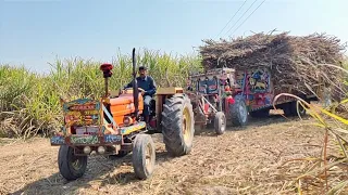 MF 240 Tractor Sugarcane Load Trolley Fail With Help New Holland Tractor | Massey Ferguson Tractor
