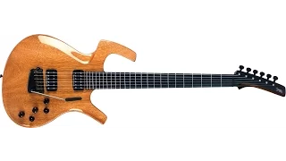 The Parker Fly Guitar, Not What You Think