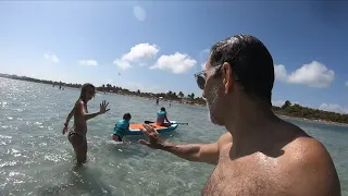 Swimming on a Florida Sandbar in Key Biscayne