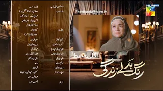 Rang Badlay Zindagi - Episode 14 - Teaser [ Nawaal Saeed, Noor Hassan, Omer Shahzad ] - HUM TV