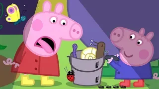 Świnka Peppa 🦔 Nocne Zwierzęta | Bajki Po Polsku | Peppa po Polsku