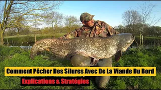 Comment Pêcher Des Silures Avec De La Viande Du Bord   Explications & Stratégies