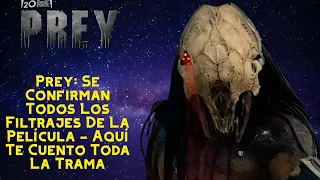 Se Confirman Todos Los Filtrajes Y Spoilers de PREY (Depredador 5) - Aquí Te Cuento Toda La Trama